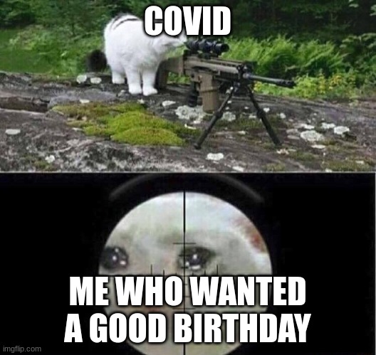 Sniper cat | COVID; ME WHO WANTED A GOOD BIRTHDAY | image tagged in sniper cat | made w/ Imgflip meme maker