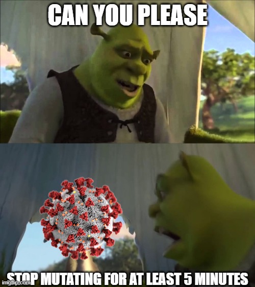 Coronavirus is mutating quickly |  CAN YOU PLEASE; STOP MUTATING FOR AT LEAST 5 MINUTES | image tagged in shrek five minutes | made w/ Imgflip meme maker