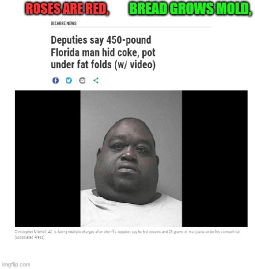 Roses are red.... | BREAD GROWS MOLD, ROSES ARE RED, | image tagged in roses are red,roses are red violets are are blue,roses are red violets are blue,cocaine,fat guy,drugs | made w/ Imgflip meme maker