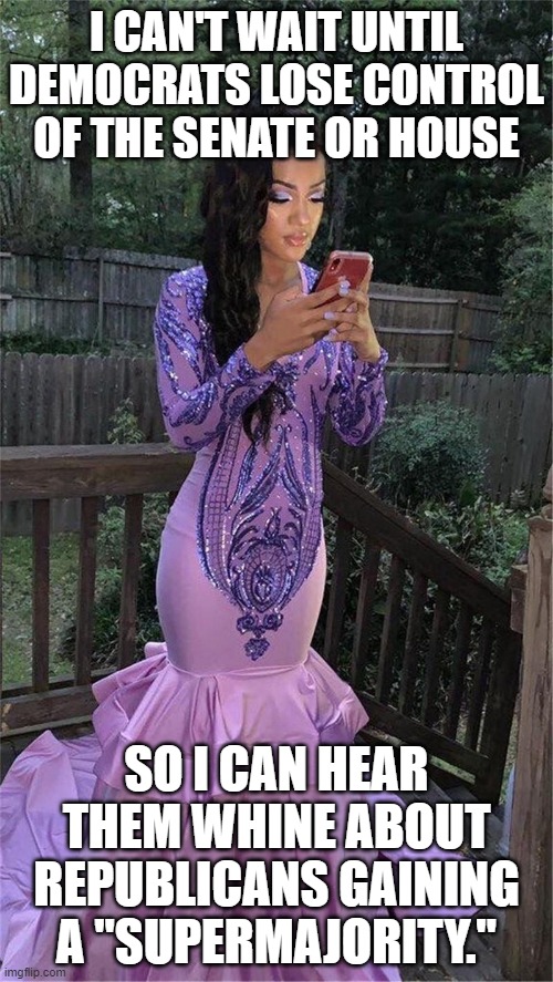 Yeah.... what happened to that whole "Supermajority" thing, anyway? | I CAN'T WAIT UNTIL DEMOCRATS LOSE CONTROL OF THE SENATE OR HOUSE; SO I CAN HEAR THEM WHINE ABOUT REPUBLICANS GAINING A "SUPERMAJORITY." | made w/ Imgflip meme maker