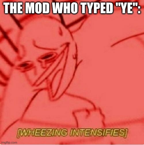 Wheeze | THE MOD WHO TYPED "YE": | image tagged in wheeze | made w/ Imgflip meme maker