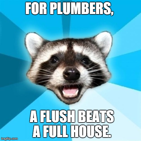 Lame Pun Coon | FOR PLUMBERS,   A FLUSH BEATS A FULL HOUSE. | image tagged in memes,lame pun coon | made w/ Imgflip meme maker