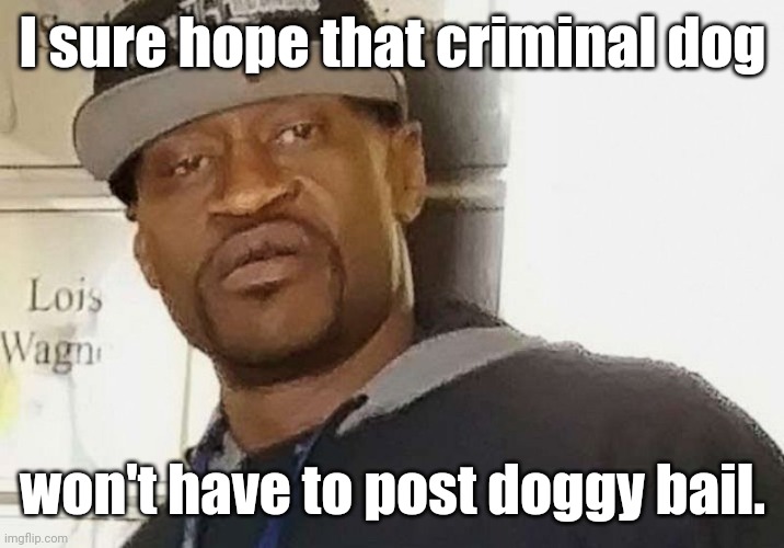 Fentanyl floyd | I sure hope that criminal dog won't have to post doggy bail. | image tagged in fentanyl floyd | made w/ Imgflip meme maker