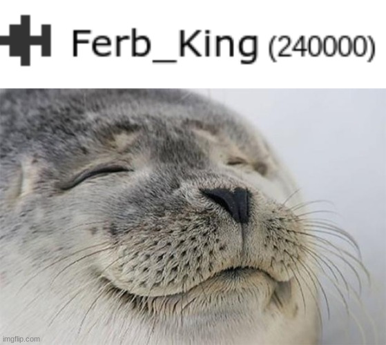 image tagged in memes,satisfied seal | made w/ Imgflip meme maker