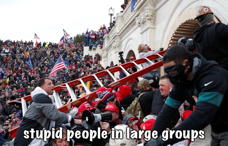 Qanon - Insurrection - Trump riot - sedition | stupid people in large groups | image tagged in qanon - insurrection - trump riot - sedition | made w/ Imgflip meme maker