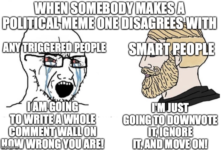 What we all should strive to be! | WHEN SOMEBODY MAKES A POLITICAL MEME ONE DISAGREES WITH; ANY TRIGGERED PEOPLE; SMART PEOPLE; I AM GOING TO WRITE A WHOLE COMMENT WALL ON HOW WRONG YOU ARE! I'M JUST GOING TO DOWNVOTE IT, IGNORE IT, AND MOVE ON! | image tagged in soyboy vs yes chad,memes | made w/ Imgflip meme maker