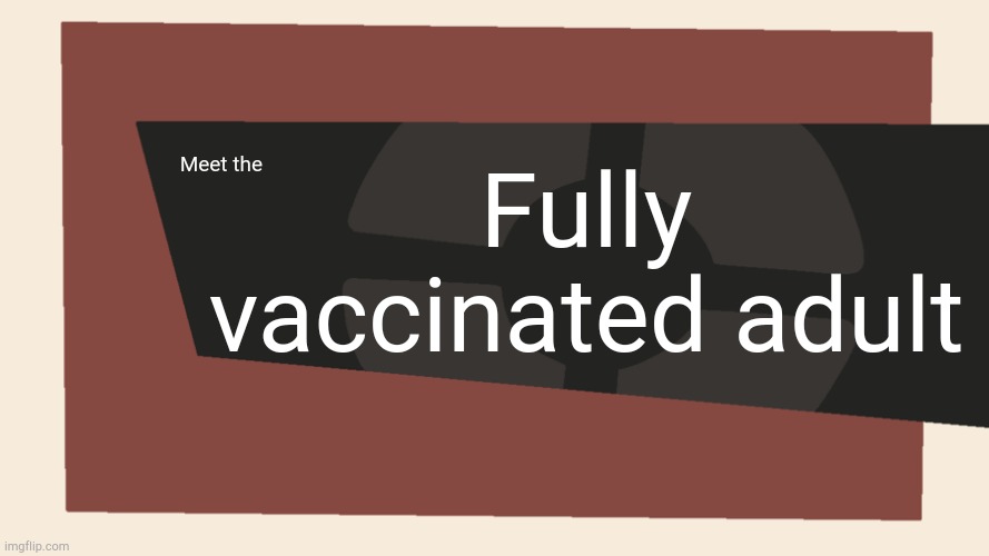 Meet the <Blank> | Meet the Fully vaccinated adult | image tagged in meet the blank | made w/ Imgflip meme maker