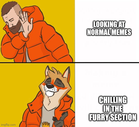 Furry Drake | LOOKING AT NORMAL MEMES CHILLING IN THE FURRY SECTION | image tagged in furry drake | made w/ Imgflip meme maker