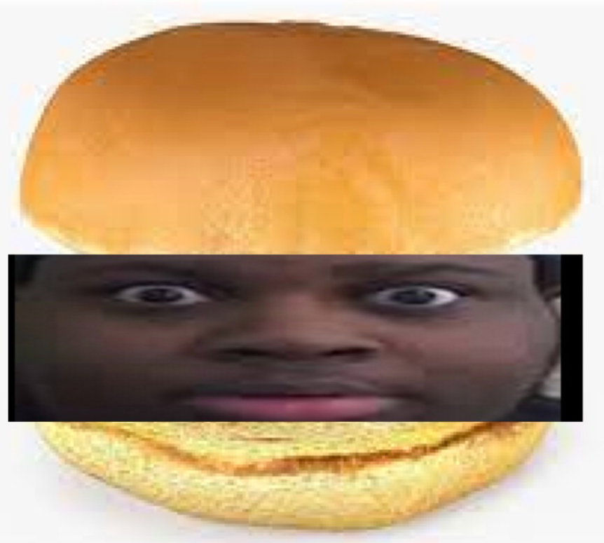 EDP445 burger Blank Meme Template