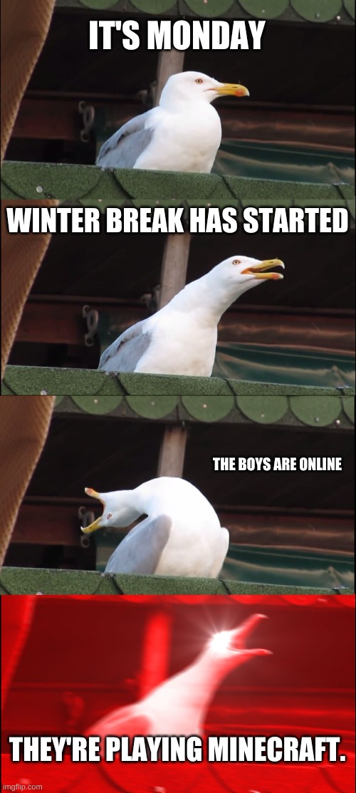 Three more days till break for me | IT'S MONDAY; WINTER BREAK HAS STARTED; THE BOYS ARE ONLINE; THEY'RE PLAYING MINECRAFT. | image tagged in memes,inhaling seagull | made w/ Imgflip meme maker