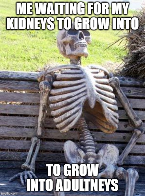 Waiting Skeleton | ME WAITING FOR MY KIDNEYS TO GROW INTO; TO GROW INTO ADULTNEYS | image tagged in memes,waiting skeleton | made w/ Imgflip meme maker
