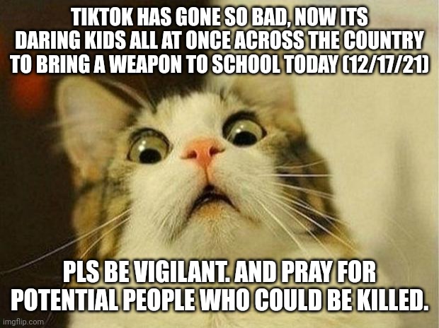 Tiktok isn't more cringer. Its deadlier | TIKTOK HAS GONE SO BAD, NOW ITS DARING KIDS ALL AT ONCE ACROSS THE COUNTRY TO BRING A WEAPON TO SCHOOL TODAY (12/17/21); PLS BE VIGILANT. AND PRAY FOR POTENTIAL PEOPLE WHO COULD BE KILLED. | image tagged in memes,scared cat,tiktok sucks | made w/ Imgflip meme maker