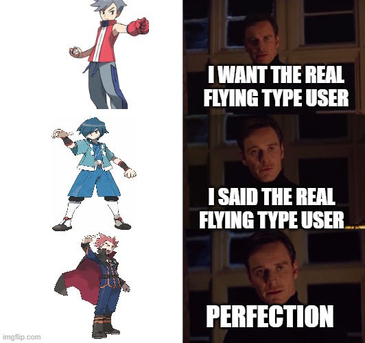 Bird Keeper Lance | I WANT THE REAL FLYING TYPE USER; I SAID THE REAL FLYING TYPE USER; PERFECTION | image tagged in perfection | made w/ Imgflip meme maker