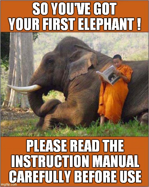 Elephant User Manual | SO YOU'VE GOT YOUR FIRST ELEPHANT ! PLEASE READ THE
INSTRUCTION MANUAL
CAREFULLY BEFORE USE | image tagged in fun,elephant,manual | made w/ Imgflip meme maker