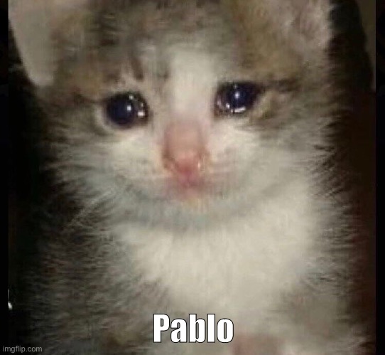 Watch Poblo | Pablo | image tagged in cat,cats,cute cat | made w/ Imgflip meme maker