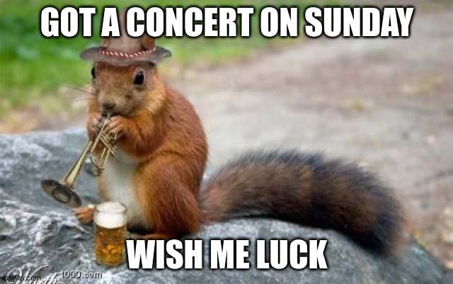 WISH ME LUUUCK! | GOT A CONCERT ON SUNDAY; WISH ME LUCK | image tagged in trumpet squirrel,trumpet,concert,help | made w/ Imgflip meme maker