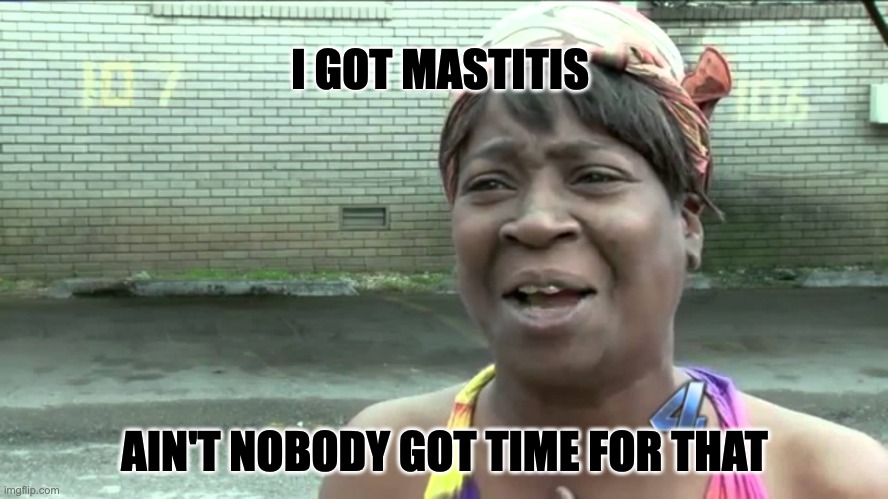 Aint Got No Time Fo Dat | I GOT MASTITIS; AIN'T NOBODY GOT TIME FOR THAT | image tagged in aint got no time fo dat | made w/ Imgflip meme maker