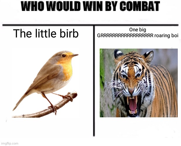 Bird vs. Tiger | The little birb One big GRRRRRRRRRRRRRRRRRR roaring boi | image tagged in who would win by combat,birb,bird,tiger,memes,meme | made w/ Imgflip meme maker