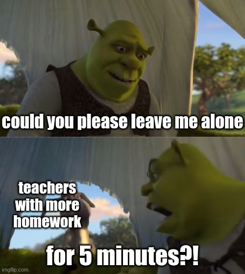 Could you not ___ for 5 MINUTES | could you please leave me alone; teachers with more homework; for 5 minutes?! | image tagged in could you not ___ for 5 minutes | made w/ Imgflip meme maker
