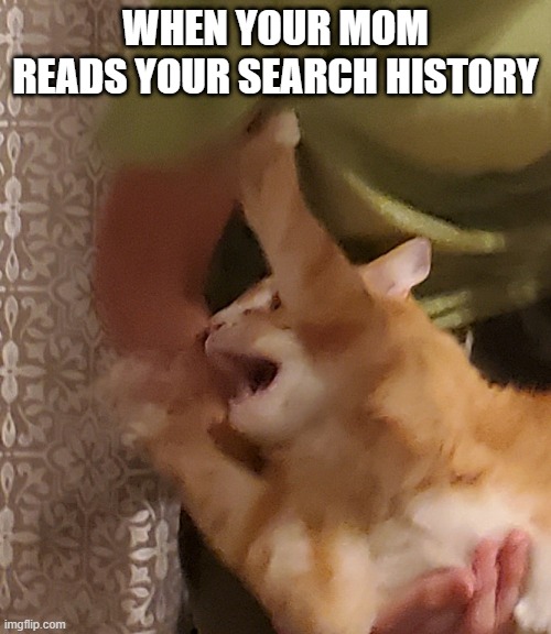 when you cuss in front of your mom | WHEN YOUR MOM READS YOUR SEARCH HISTORY | image tagged in when you cuss in front of your mom | made w/ Imgflip meme maker