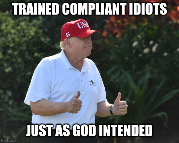 BS Rumpt | TRAINED COMPLIANT IDIOTS; JUST AS GOD INTENDED | image tagged in bs rumpt | made w/ Imgflip meme maker