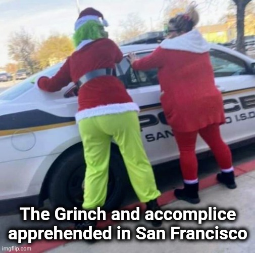 Don't worry , Kids |  The Grinch and accomplice apprehended in San Francisco | image tagged in the grinch,arrested,marked safe from,happy holidays | made w/ Imgflip meme maker