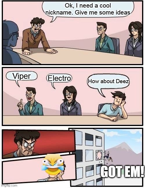 Nick Names | Ok, I need a cool nickname. Give me some ideas; Viper; Electro; How about Deez; GOT EM! | image tagged in memes,boardroom meeting suggestion | made w/ Imgflip meme maker