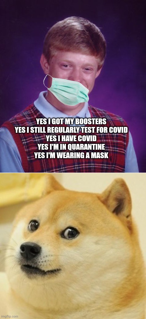 Dangerous species | YES I GOT MY BOOSTERS
YES I STILL REGULARLY TEST FOR COVID
YES I HAVE COVID
YES I'M IN QUARANTINE
YES I'M WEARING A MASK | image tagged in memes,bad luck brian,blackmail works on some people,sleeping,hypnotized,vaccine meme | made w/ Imgflip meme maker