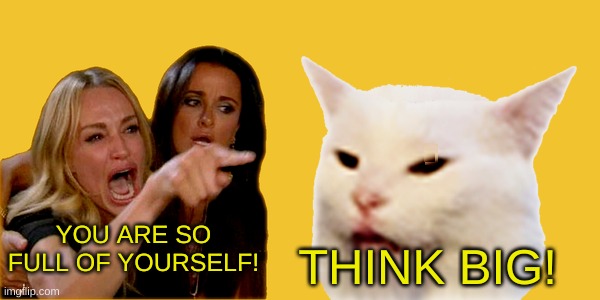 The Mindset of Success | YOU ARE SO FULL OF YOURSELF! THINK BIG! | image tagged in woman yelling at cat,smudge the cat,success,change my mind,smudge,think about it | made w/ Imgflip meme maker