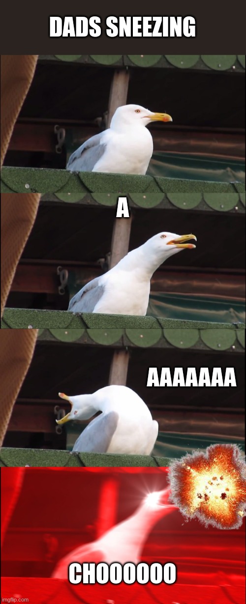 Inhaling Seagull | DADS SNEEZING; A; AAAAAAA; CHOOOOOO | image tagged in memes,inhaling seagull | made w/ Imgflip meme maker