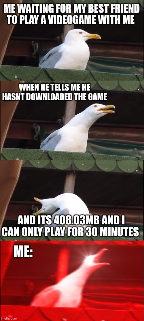 Dude I can't even tell you how many times this happens. | ME WAITING FOR MY BEST FRIEND TO PLAY A VIDEOGAME WITH ME; WHEN HE TELLS ME HE HASNT DOWNLOADED THE GAME; AND ITS 408.03MB AND I CAN ONLY PLAY FOR 30 MINUTES; ME: | image tagged in memes,inhaling seagull | made w/ Imgflip meme maker