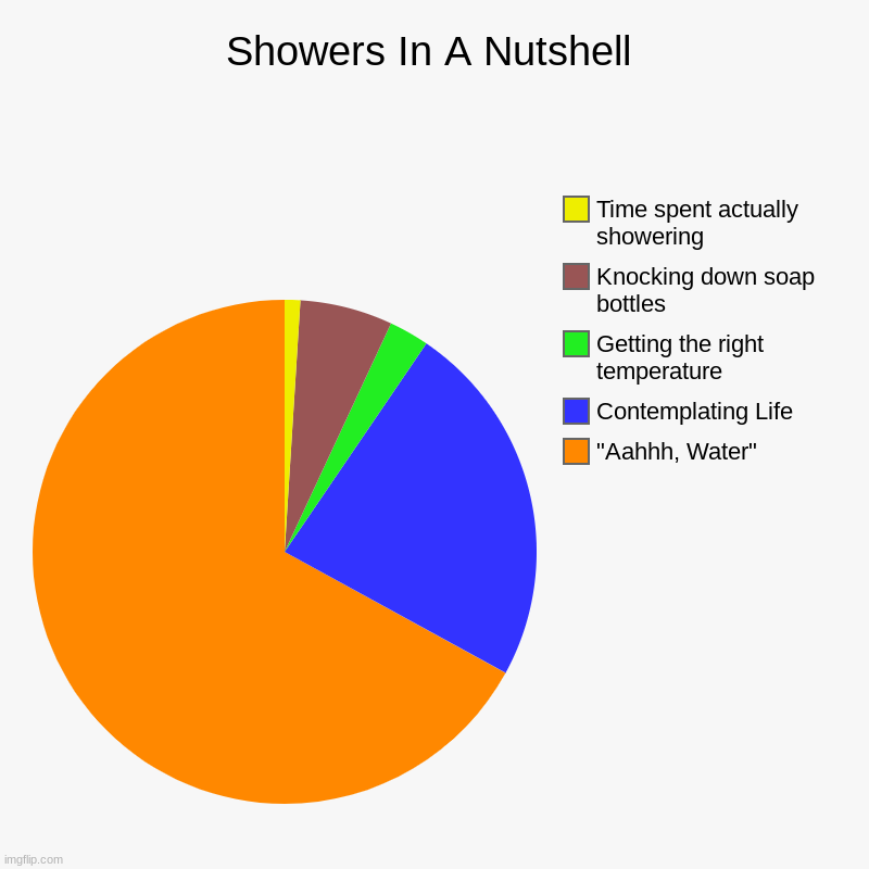 Straight Facts | Showers In A Nutshell | "Aahhh, Water", Contemplating Life, Getting the right temperature, Knocking down soap bottles, Time spent actually s | image tagged in charts,pie charts | made w/ Imgflip chart maker