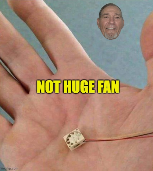 not a huge fan | NOT HUGE FAN | image tagged in small fan,not huge,kewlew | made w/ Imgflip meme maker