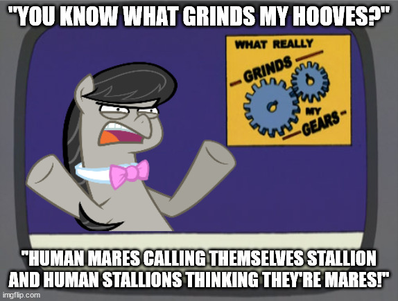 what really grinds my gears Octavia Melody | "YOU KNOW WHAT GRINDS MY HOOVES?" "HUMAN MARES CALLING THEMSELVES STALLION AND HUMAN STALLIONS THINKING THEY'RE MARES!" | image tagged in what really grinds my gears octavia melody | made w/ Imgflip meme maker