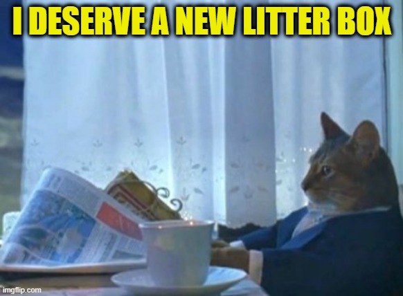 At the Very Least | I DESERVE A NEW LITTER BOX | image tagged in memes,i should buy a boat cat | made w/ Imgflip meme maker