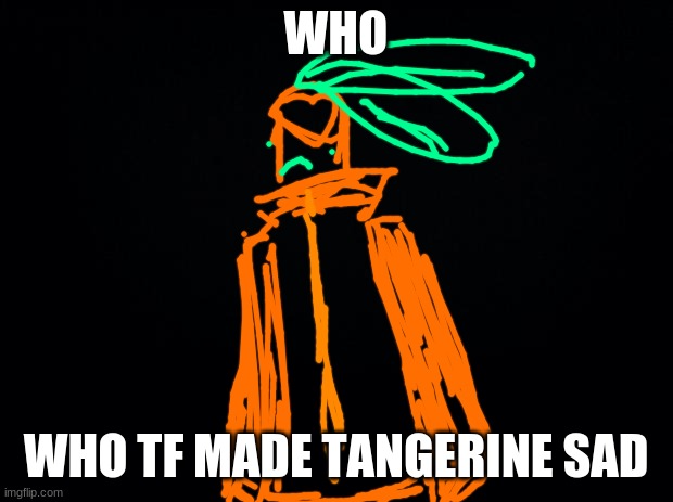 50 upvotes and i'll repost this in the politics stream. | WHO; WHO TF MADE TANGERINE SAD | image tagged in black background | made w/ Imgflip meme maker