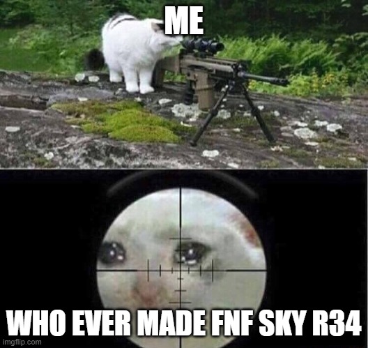 Sniper cat | ME; WHO EVER MADE FNF SKY R34 | image tagged in sniper cat | made w/ Imgflip meme maker