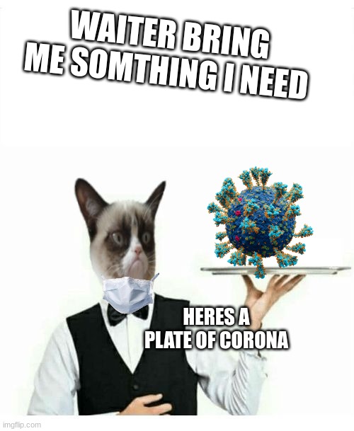 Grumpy Cat Waiter | WAITER BRING ME SOMTHING I NEED; HERES A PLATE OF CORONA | image tagged in grumpy cat waiter | made w/ Imgflip meme maker