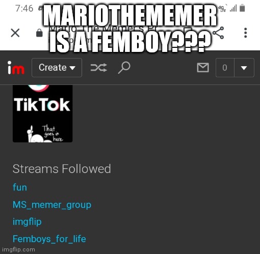 MARIOTHEMEMER IS A FEMBOY??? | made w/ Imgflip meme maker
