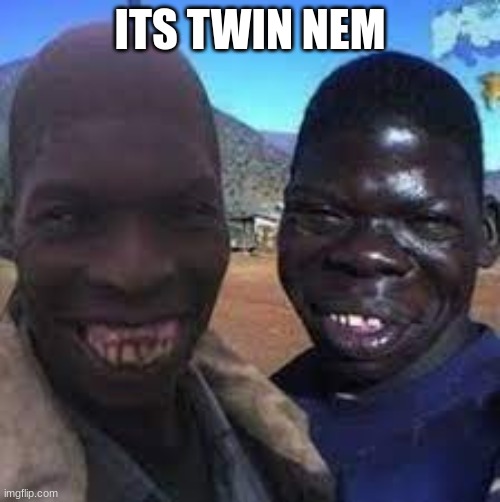 TWIN NEM | ITS TWIN NEM | image tagged in ugly twins | made w/ Imgflip meme maker