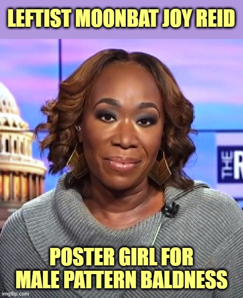 At what point should she just throw in the towel and shave her gruesome head? | LEFTIST MOONBAT JOY REID; POSTER GIRL FOR MALE PATTERN BALDNESS | image tagged in leftards,libtards,moonbats | made w/ Imgflip meme maker