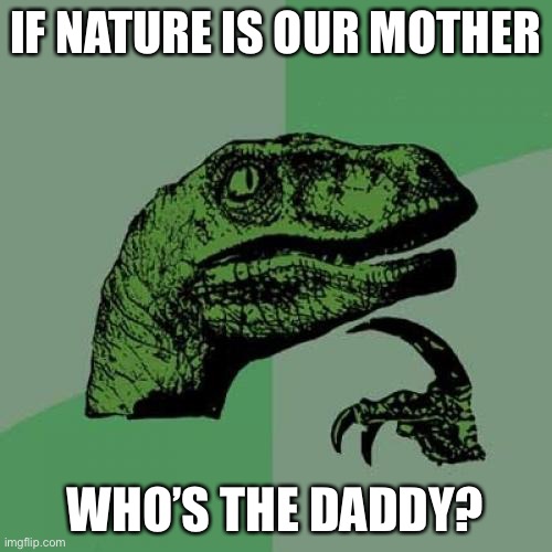 lol true | IF NATURE IS OUR MOTHER; WHO’S THE DADDY? | image tagged in memes,philosoraptor,mother nature,funny,daddy | made w/ Imgflip meme maker