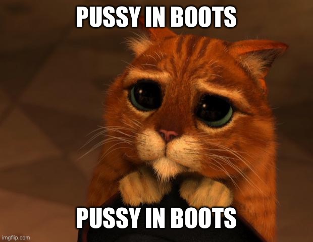 puss in boots eyes | PUSSY IN BOOTS PUSSY IN BOOTS | image tagged in puss in boots eyes | made w/ Imgflip meme maker