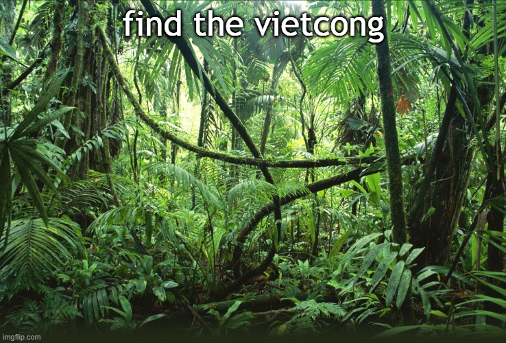Find the vietcong | find the vietcong | image tagged in jungle,no tags,memes,funny,ur mom | made w/ Imgflip meme maker