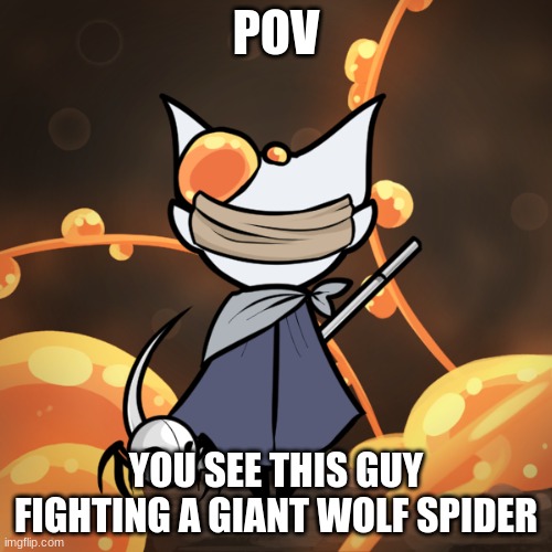 I'm just really bored ;p | POV; YOU SEE THIS GUY FIGHTING A GIANT WOLF SPIDER | image tagged in roleplay,hollow knight,action,m u s t d e s t r o y a l l s p i d e r | made w/ Imgflip meme maker