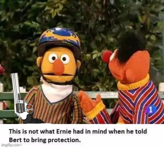 It's time to stop | image tagged in bert and ernie,protection,magnum,guns,sesame street | made w/ Imgflip meme maker