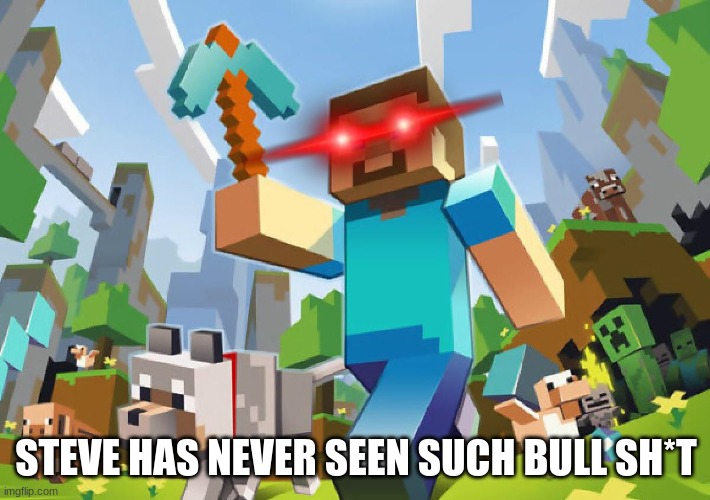 Minecraft  | STEVE HAS NEVER SEEN SUCH BULL SH*T | image tagged in minecraft | made w/ Imgflip meme maker