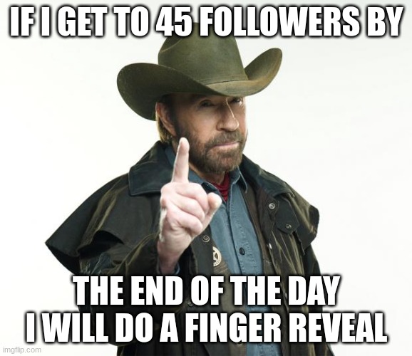 Chuck Norris Finger | IF I GET TO 45 FOLLOWERS BY; THE END OF THE DAY I WILL DO A FINGER REVEAL | image tagged in memes,chuck norris finger,chuck norris | made w/ Imgflip meme maker