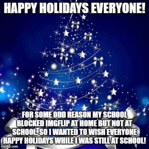 I hope everyone has awesome holidays! | HAPPY HOLIDAYS EVERYONE! FOR SOME ODD REASON MY SCHOOL BLOCKED IMGFLIP AT HOME BUT NOT AT SCHOOL. SO I WANTED TO WISH EVERYONE HAPPY HOLIDAYS WHILE I WAS STILL AT SCHOOL! | image tagged in merry christmas | made w/ Imgflip meme maker