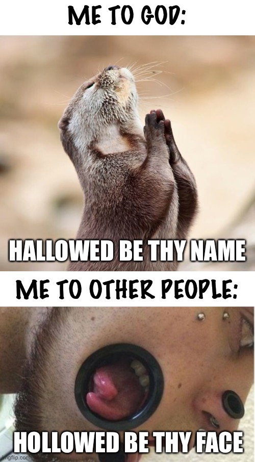 hold up | ME TO GOD:; HALLOWED BE THY NAME; ME TO OTHER PEOPLE:; HOLLOWED BE THY FACE | image tagged in animal praying,fallout hold up,praise the lord,wtf,dark humor | made w/ Imgflip meme maker